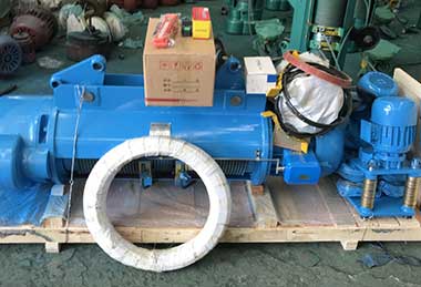 10 ton electric wire rope hoist for sale Algeria