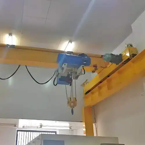 Electric wire rope hoists 