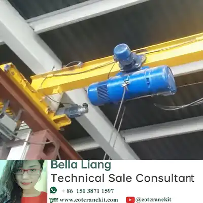 H Beam Monorail Crane Video | 5 Ton Overhead Crane Single Girder
