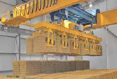 Biomass crane