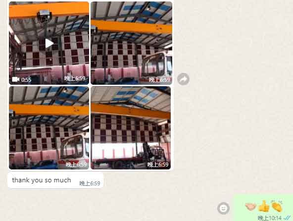 single girder overhead crane 10 ton, feedback from Mali client
