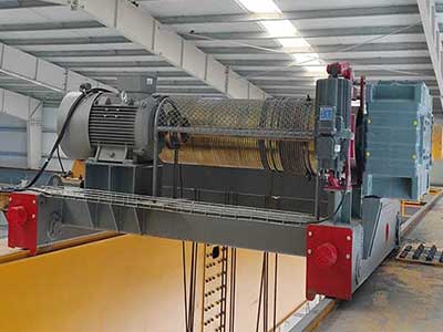 Customized Special-Purpose Cranes: