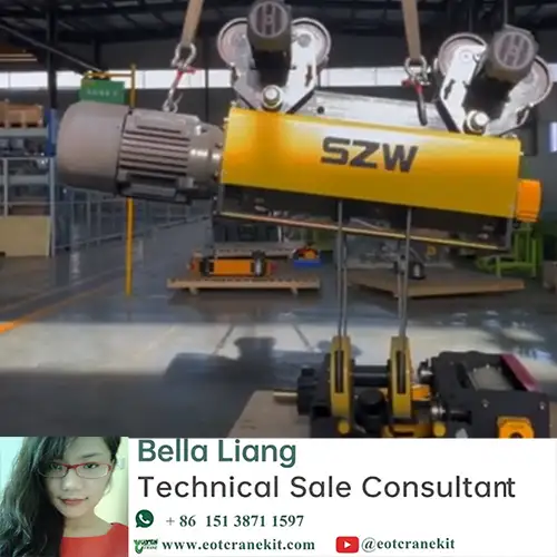 European Monorail Hoist with Double Hoist Trolley | High Stability