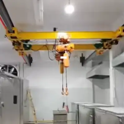 Double Girder Underhung Bridge Crane | Underhung Overhead Crane
